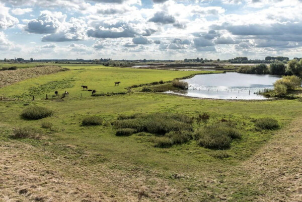 Natuurgebied-anders-vaarwel