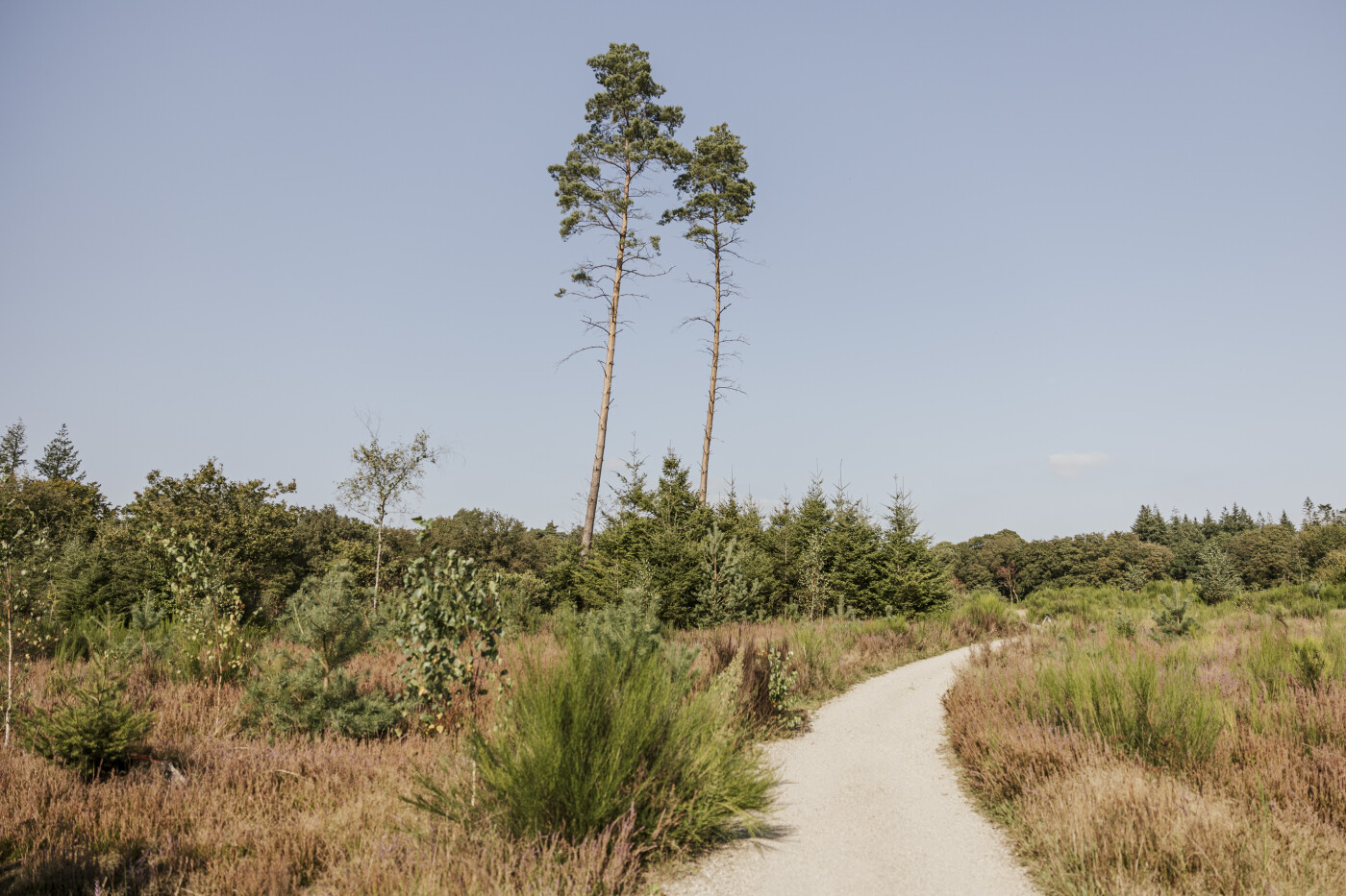 natuurbegraafplaats