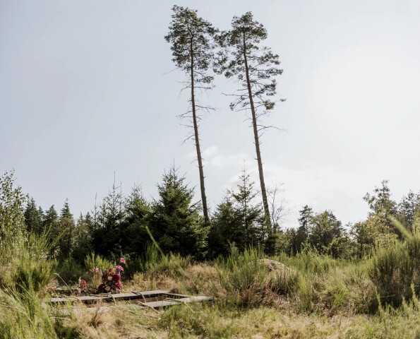 natuuur-begraafplaats